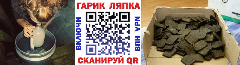 закладка  Бородино  Гашиш индика сатива 