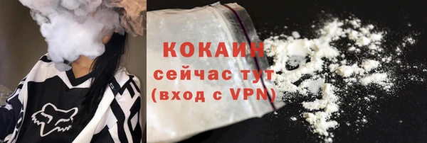 соль ск Богородицк