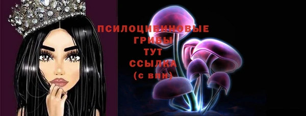 дживик Богданович