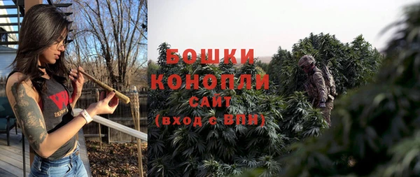 дживик Богданович