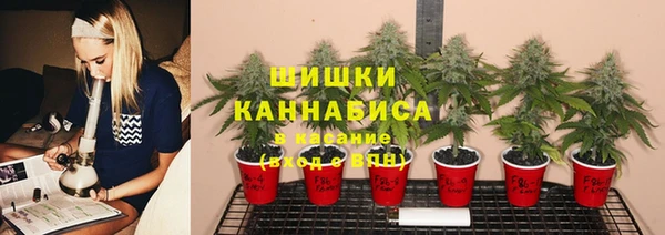 соль ск Богородицк